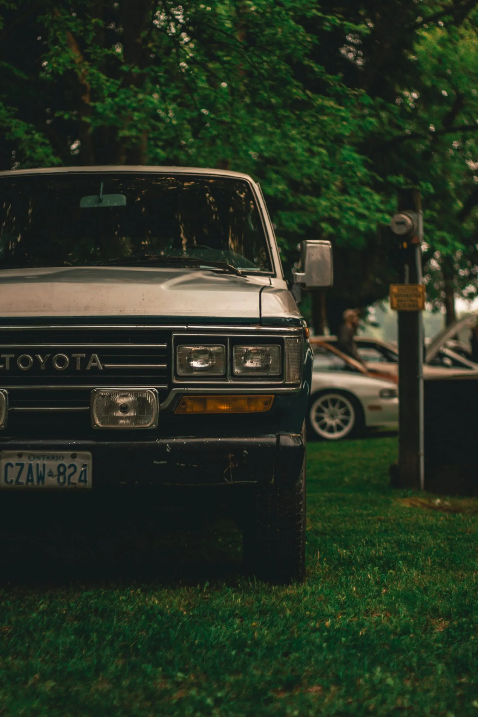 a car parked in the grass next to a parking meter