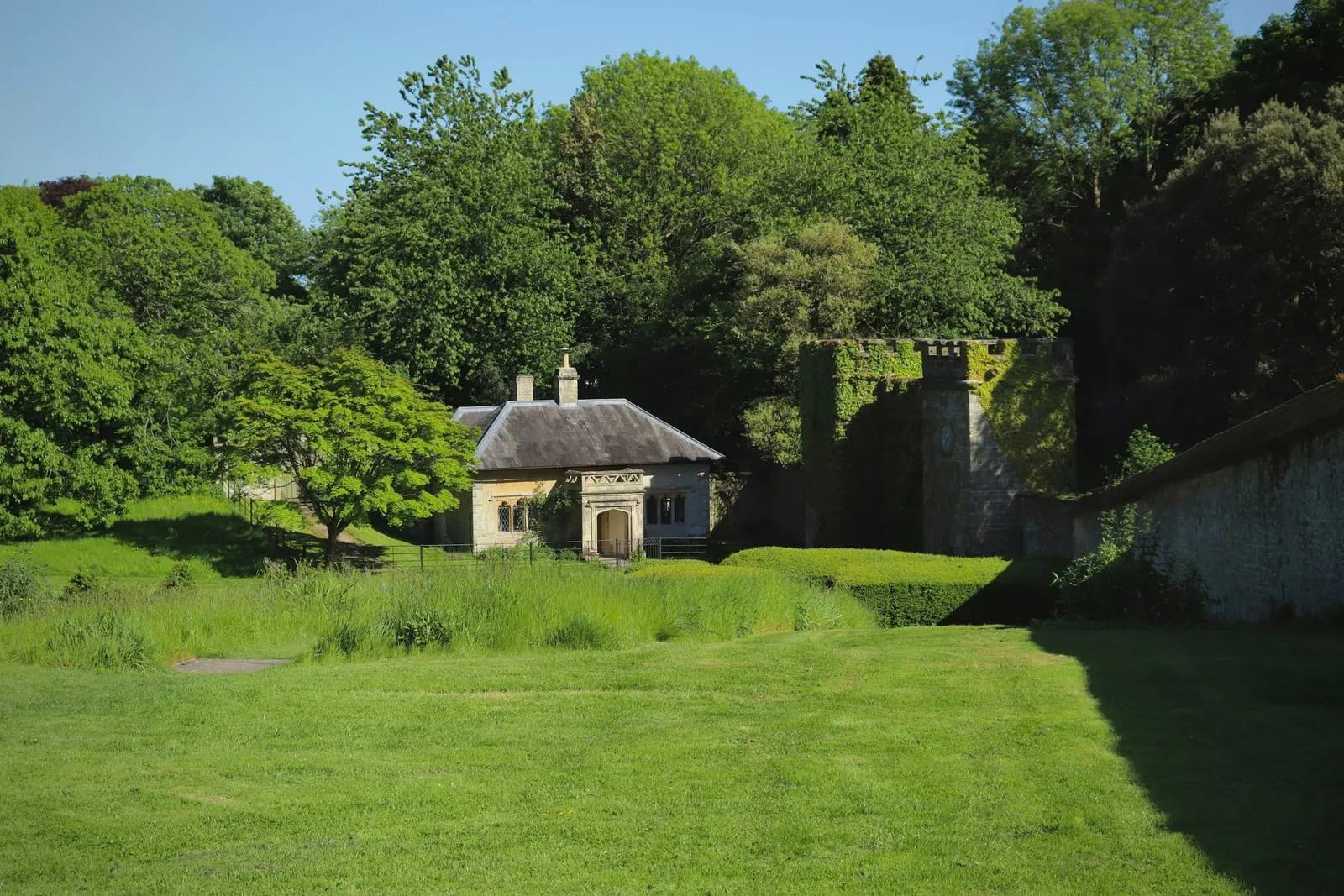 a house in the middle of a lush green field