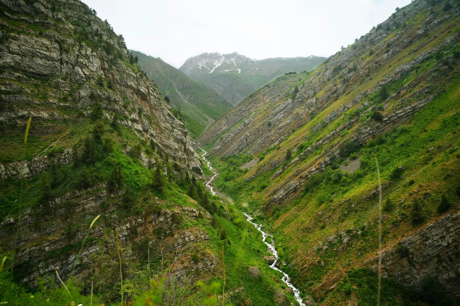 A lush, green valley with a flowing stream.