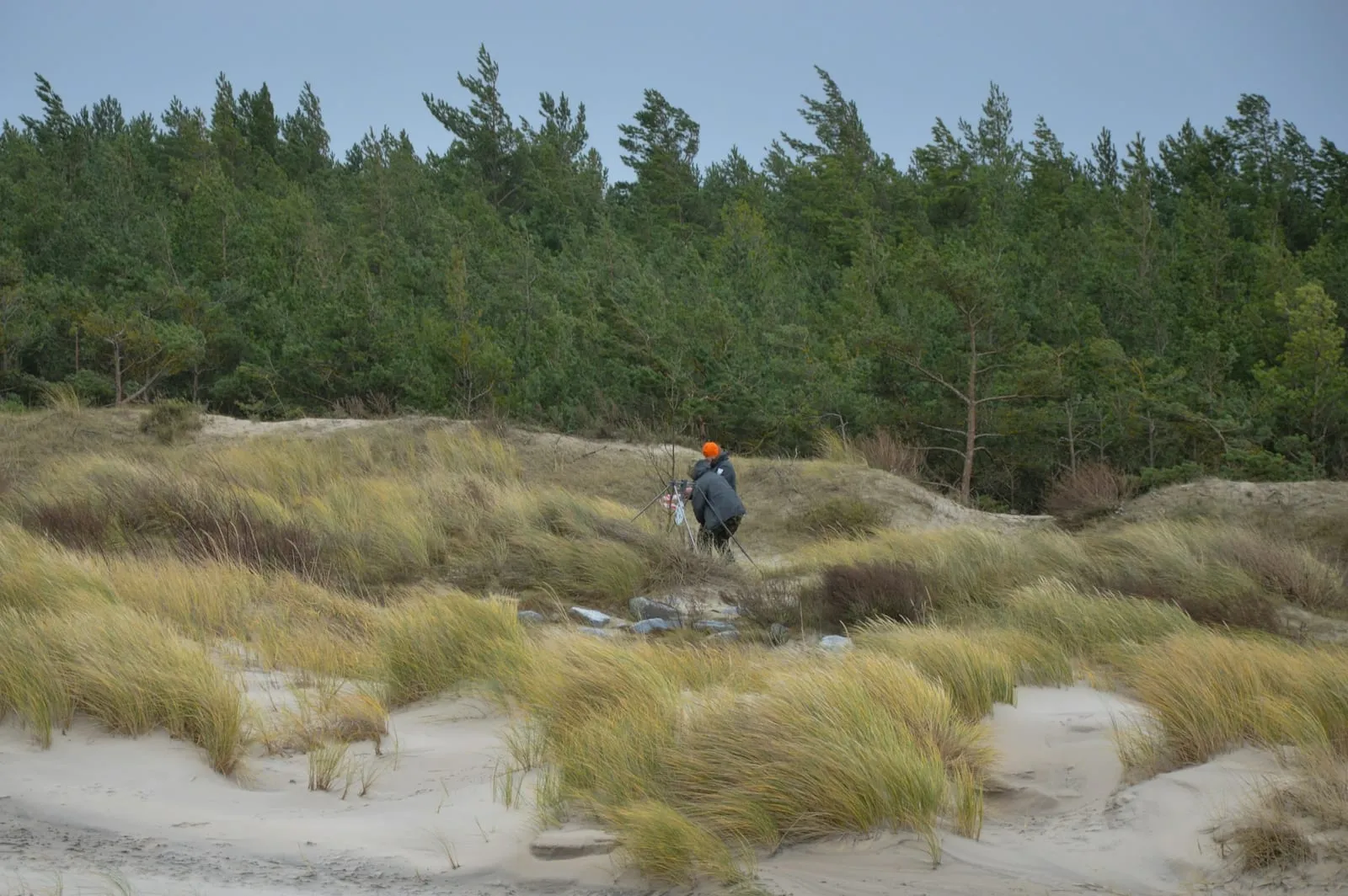 a person with a backpack walking through a field