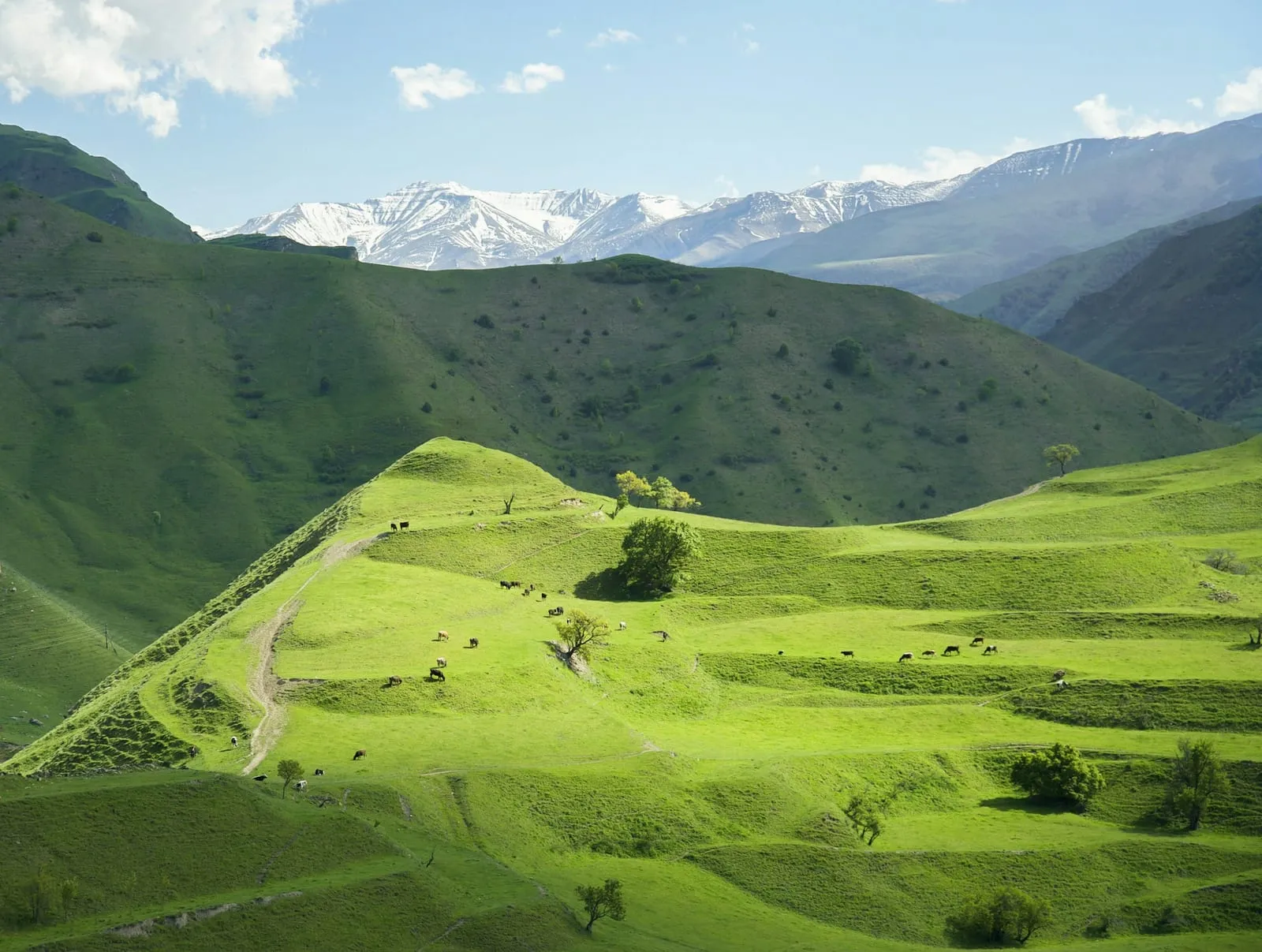 a valley with mountains in the background