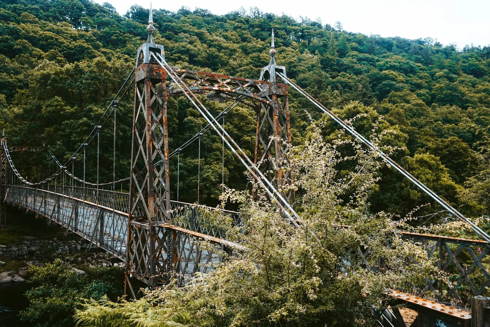 brown wooden bridge over green trees during daytime