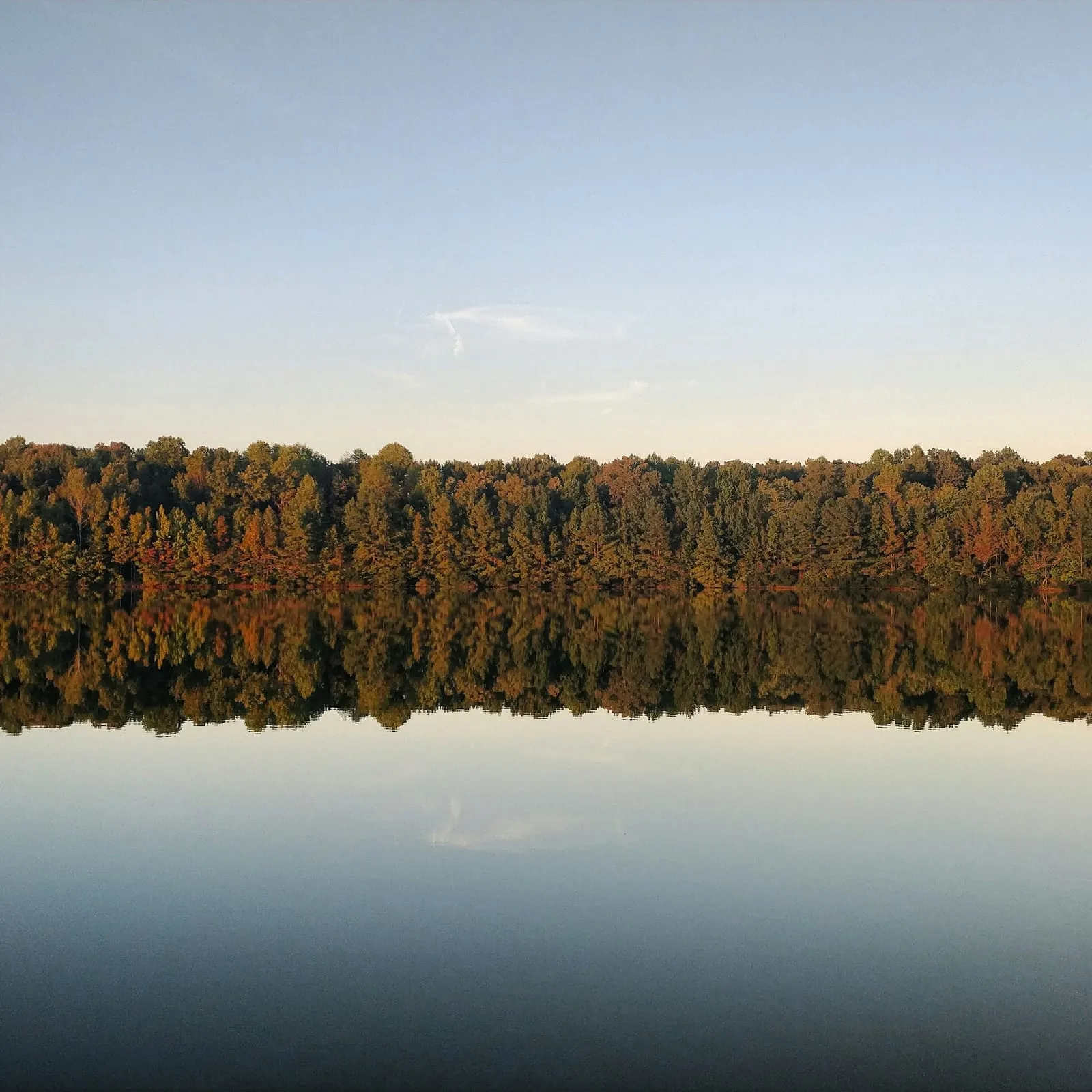 photo of trees and body of water during daytime